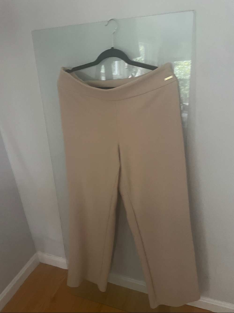 Tahari Light Beige Trousers